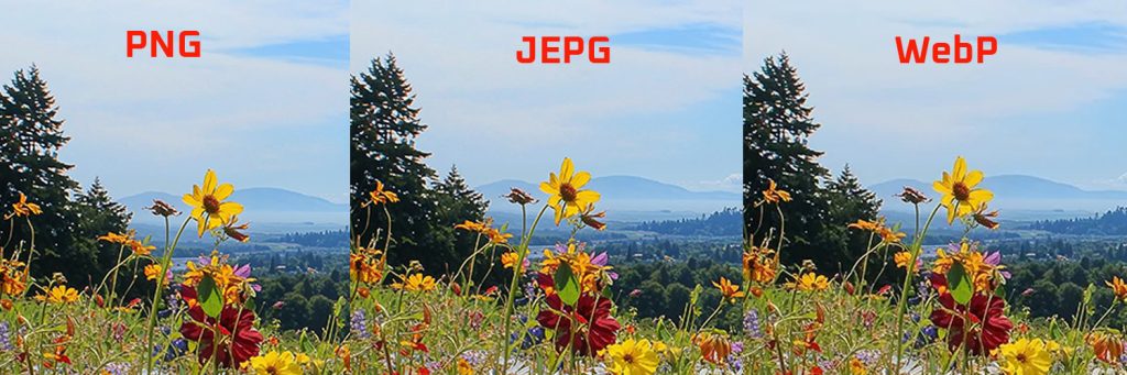 Comparaison des formats d'images