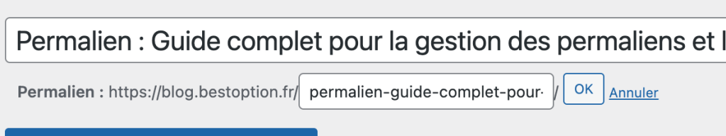 Éditeur permalien pour URL personnalisée